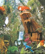 Tropenhalle Vogelpark